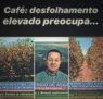 Café: desfolhamento elevado preocupa produtores do Cerrado Mineiro