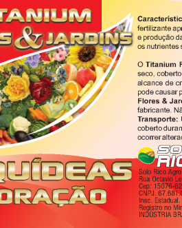 ORQUÍDEAS FLORAÇÃO