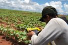 Syngenta compra a brasileira Strider e avança sobre agricultura digital